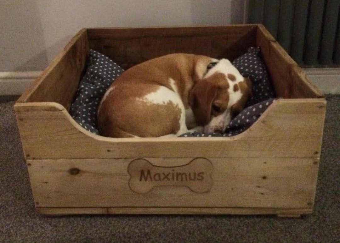 Medium Dog Bed